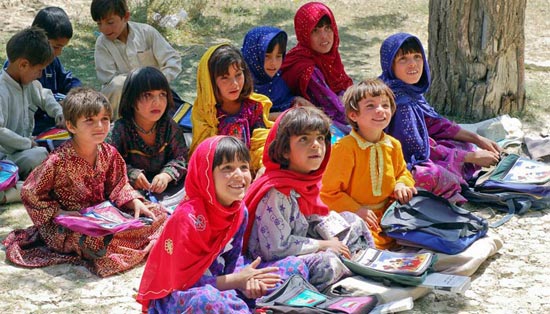 攻击网站在线工具